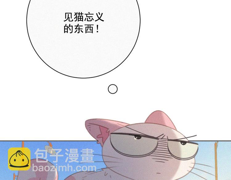 第34话 与猫争宠(1/2)-第35话