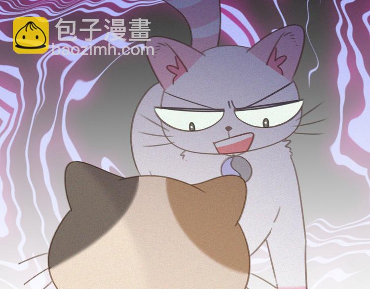 第34话 与猫争宠(1/2)-第35话