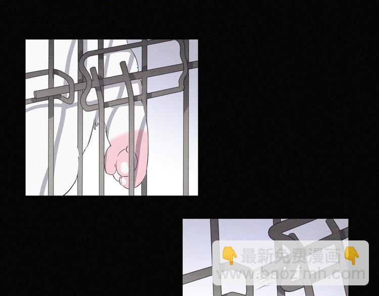 第36话 逃出生天(1/2)-第37话