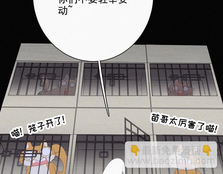 第36话 逃出生天(1/2)-第37话