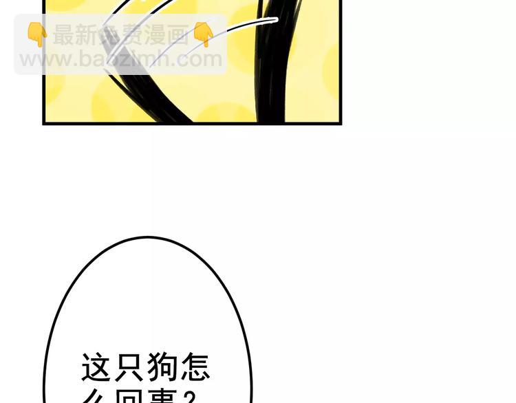 第5话 好喵不跟狗斗！(1/2)-第5话