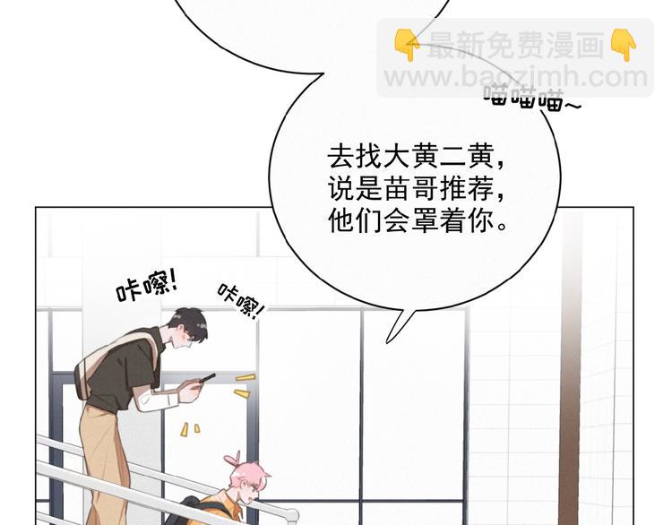 第34话 死缠烂打的小猫咪(1/2)-第77话