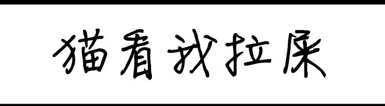 第39话 猫看我拉屎-第39话