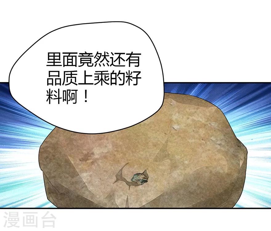 第37话 价值一亿的玉石(1/2)-第41话