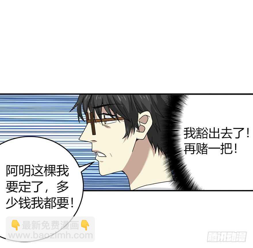 47 赌树（上）(1/2)-第49话