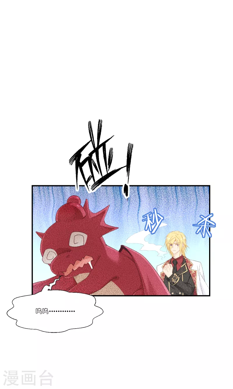 第40话 保护公主，人人有责！-第41话