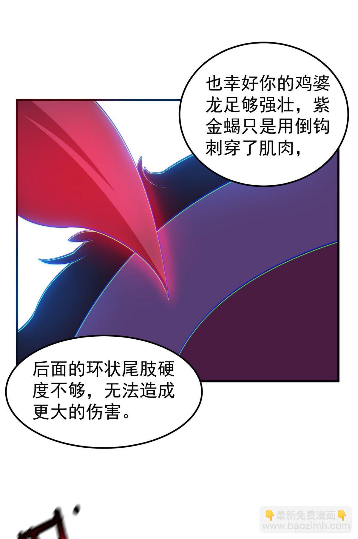 028 鸡婆龙-第31话