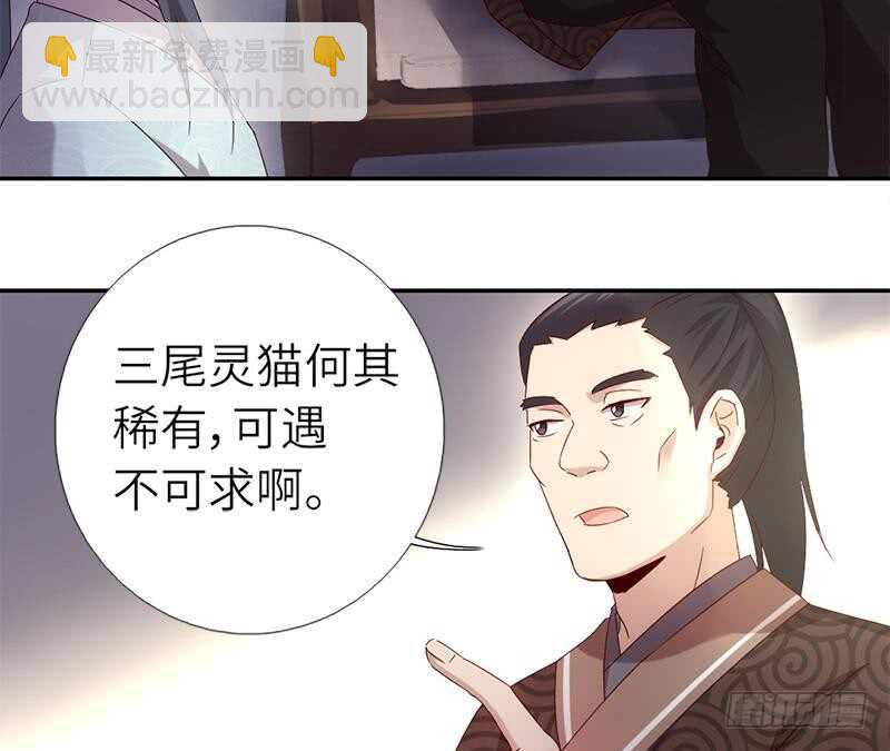 第52话 三尾灵猫(1/2)-第53话