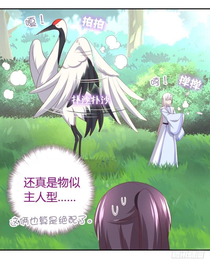 第84话  英雄救美-第85话