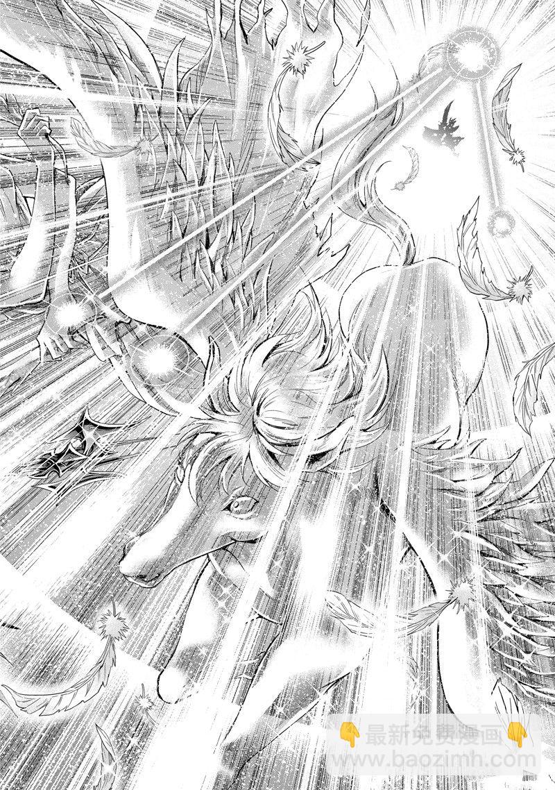 🍱圣斗士星矢 圣斗少女翔 第86话 最终话 第14页