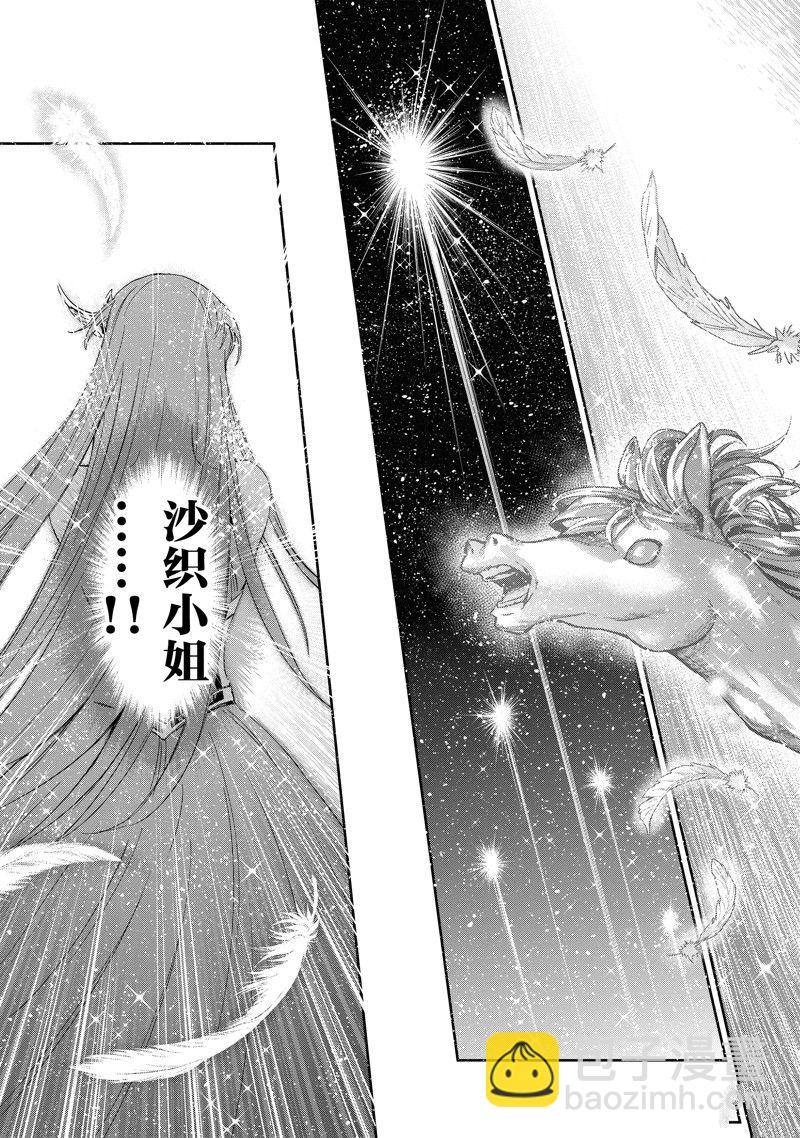 🍱圣斗士星矢 圣斗少女翔 第86话 最终话 第42页