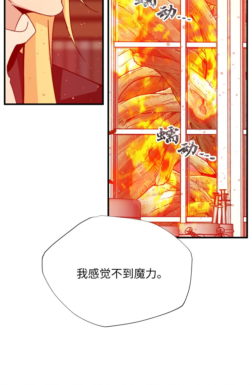 41 树(1/2)-第41话