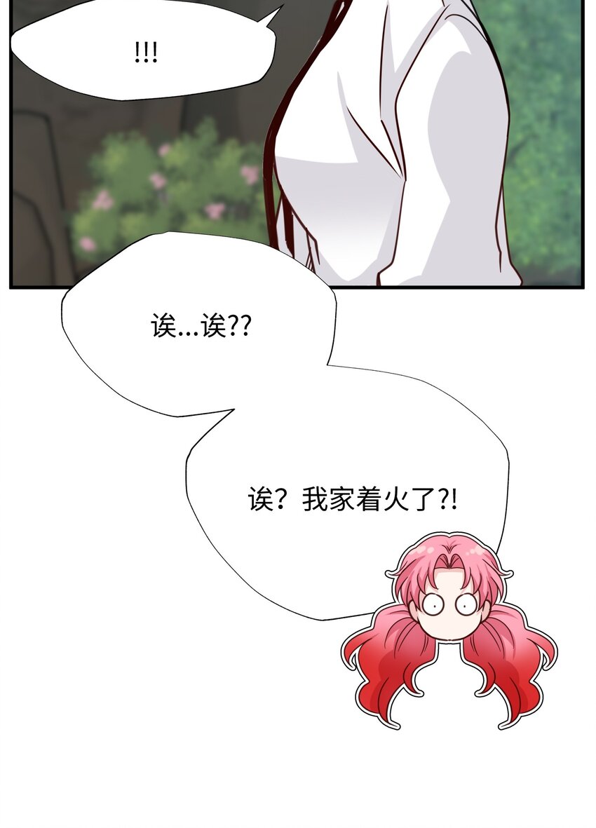 41 树(1/2)-第41话
