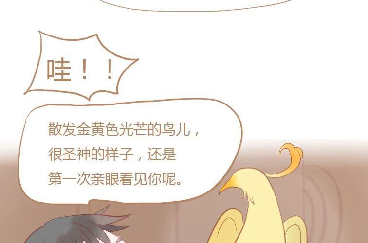 第十九话 决定(1/2)-第21话