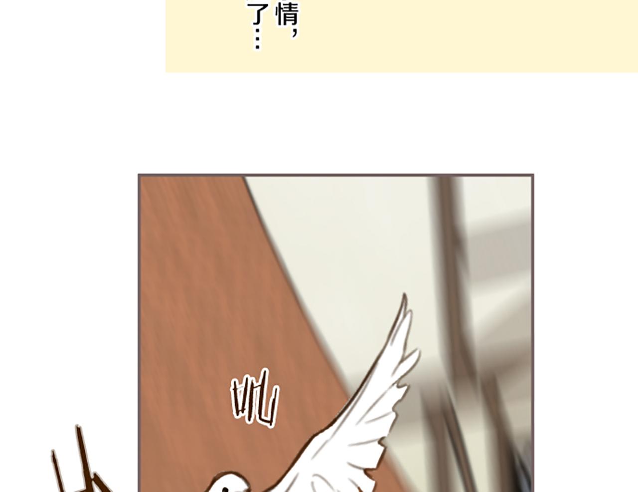 第89话 特别的礼物(1/3)-第95话