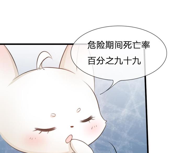 第3话 大眼萌狐狸(1/2)-第3话