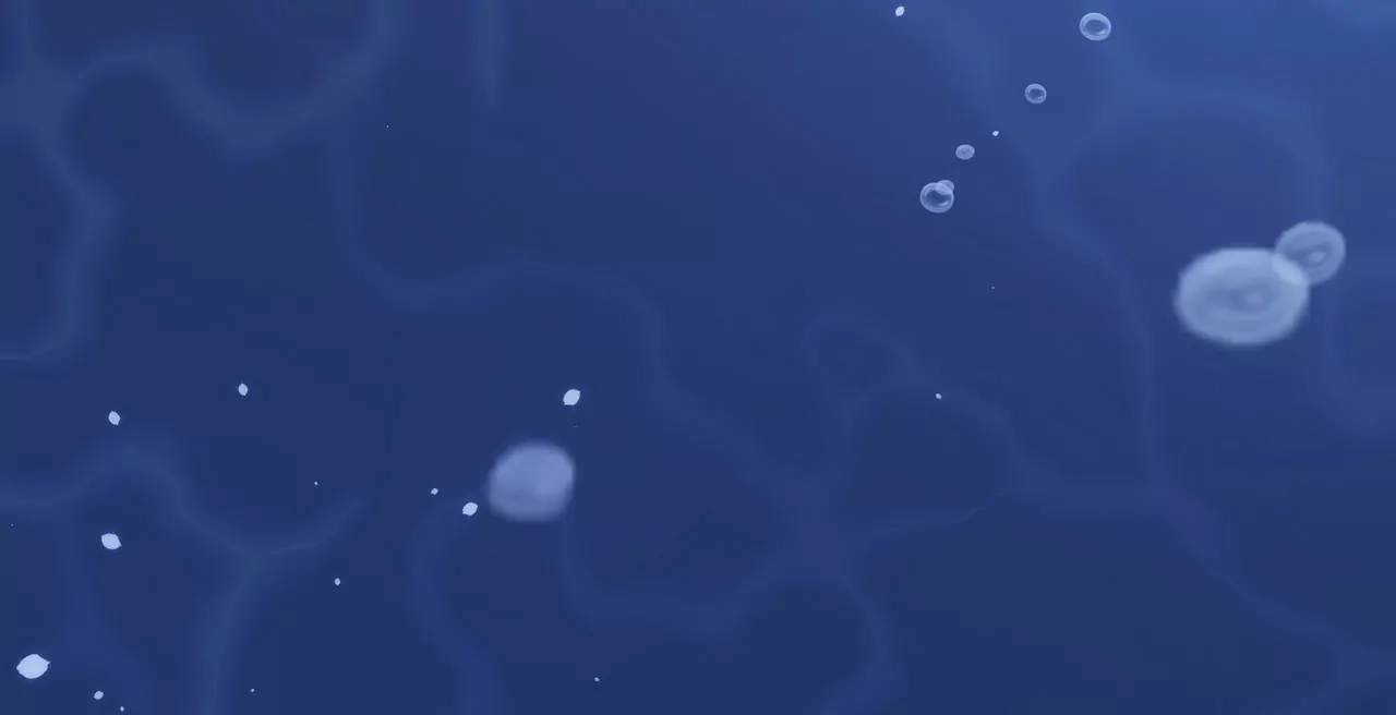 🍱盛少的浪漫攻略 第08话 要死，还是要残？ 第47页
