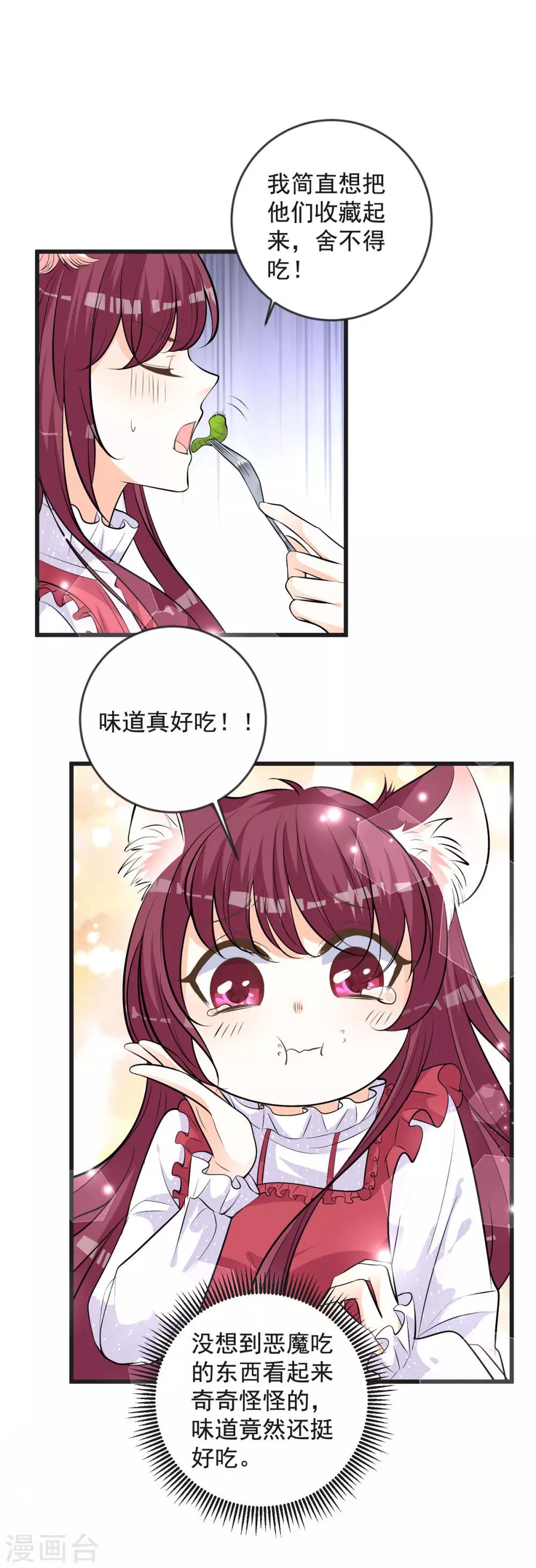第23话 猫耳朵-第27话
