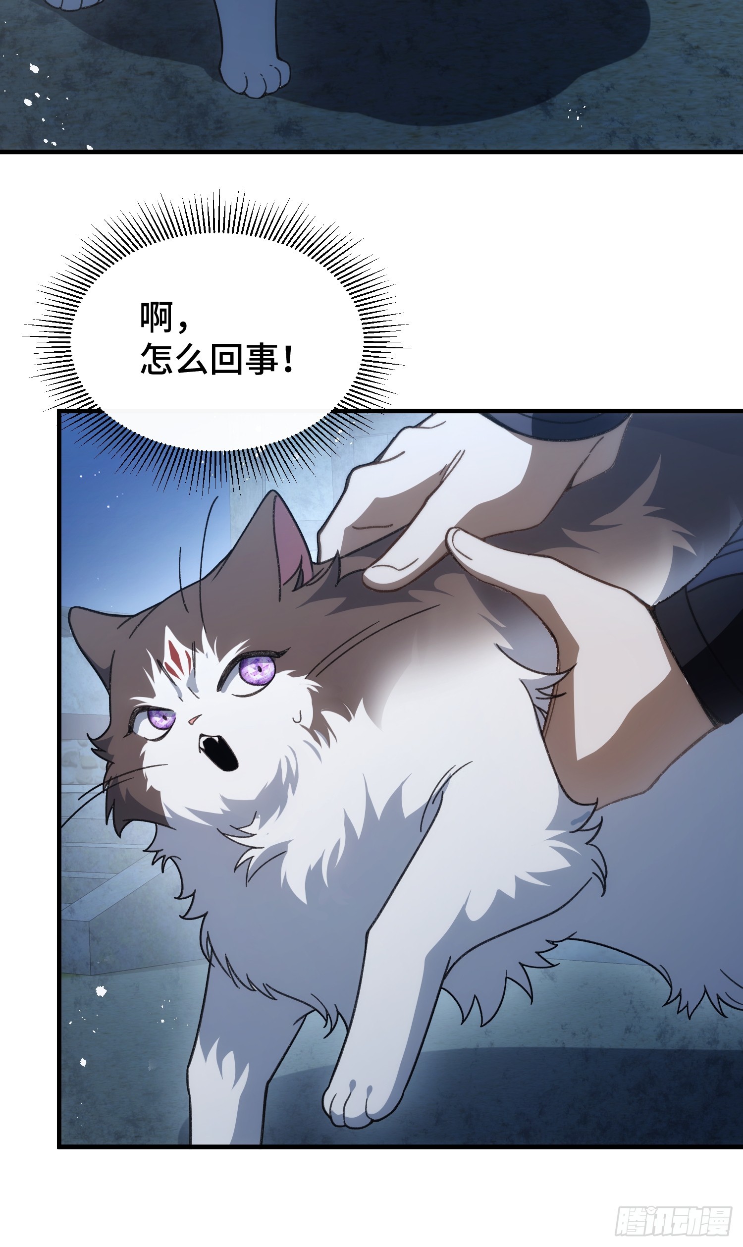 第二十九话 猫娘？(1/2)-第31话