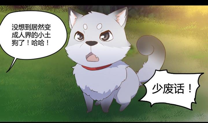 第3话 猫妖大人登场！-第3话