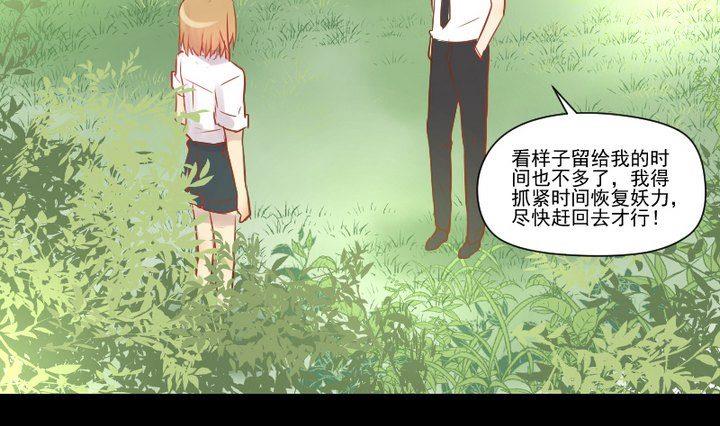 第25话 爱吃醋的风菟(1/2)-第15话