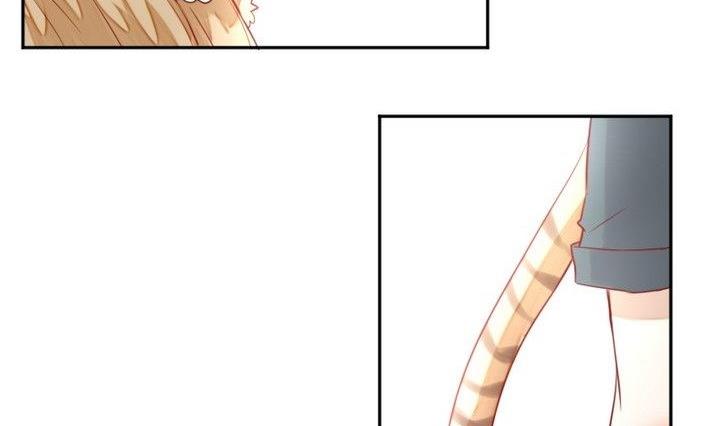 第30话 虎=菟(1/2)-第17话