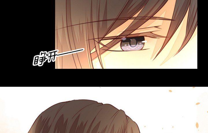 第42话 燃烧的花(1/2)-第29话