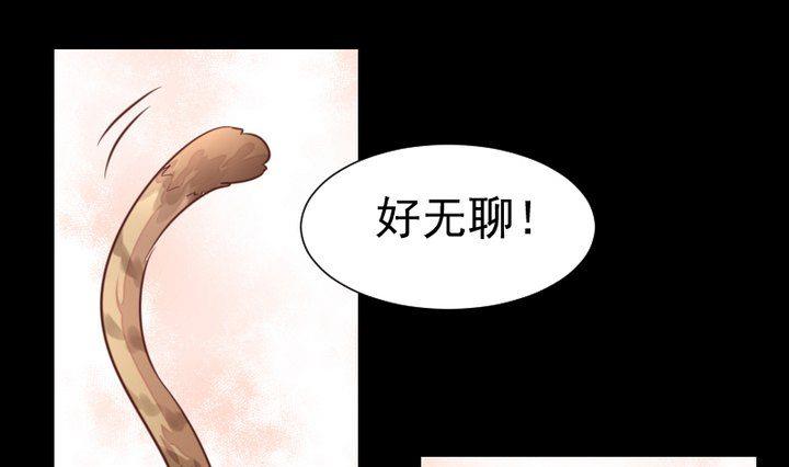 第44话 猫妖(1/2)-第31话