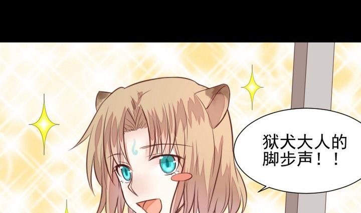 第44话 猫妖(1/2)-第31话
