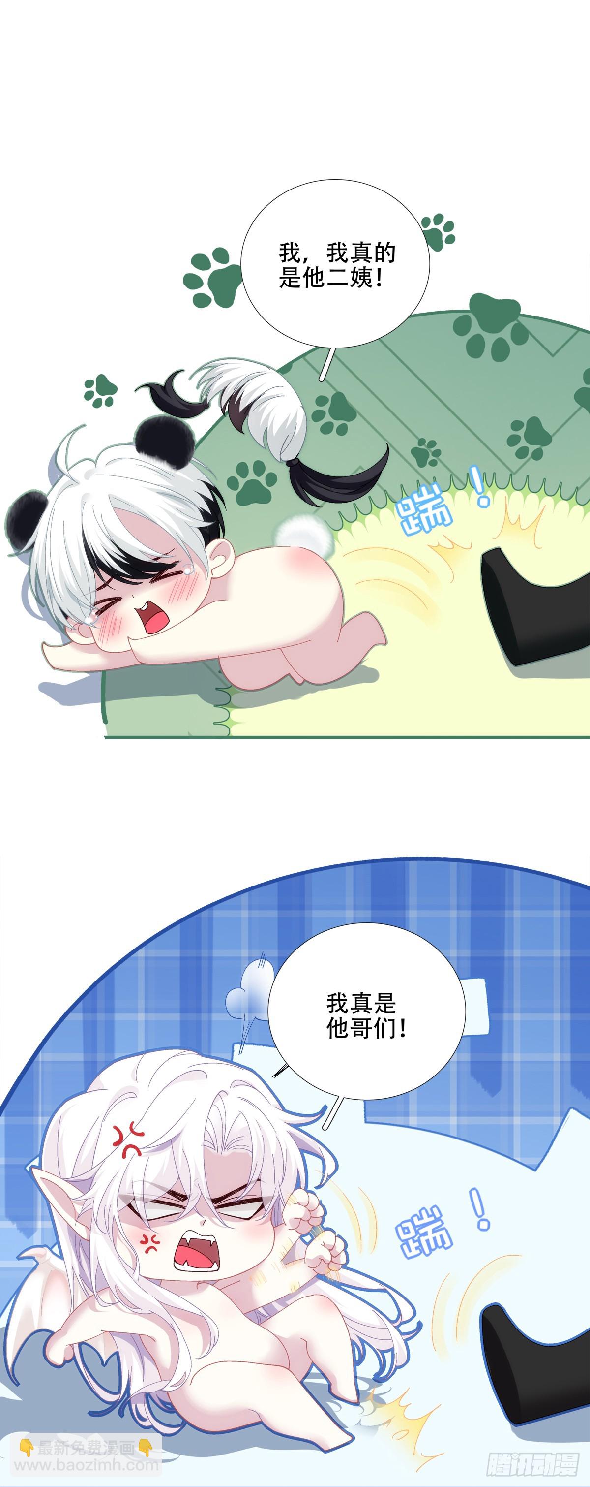小熊猫寻夫！-第27话