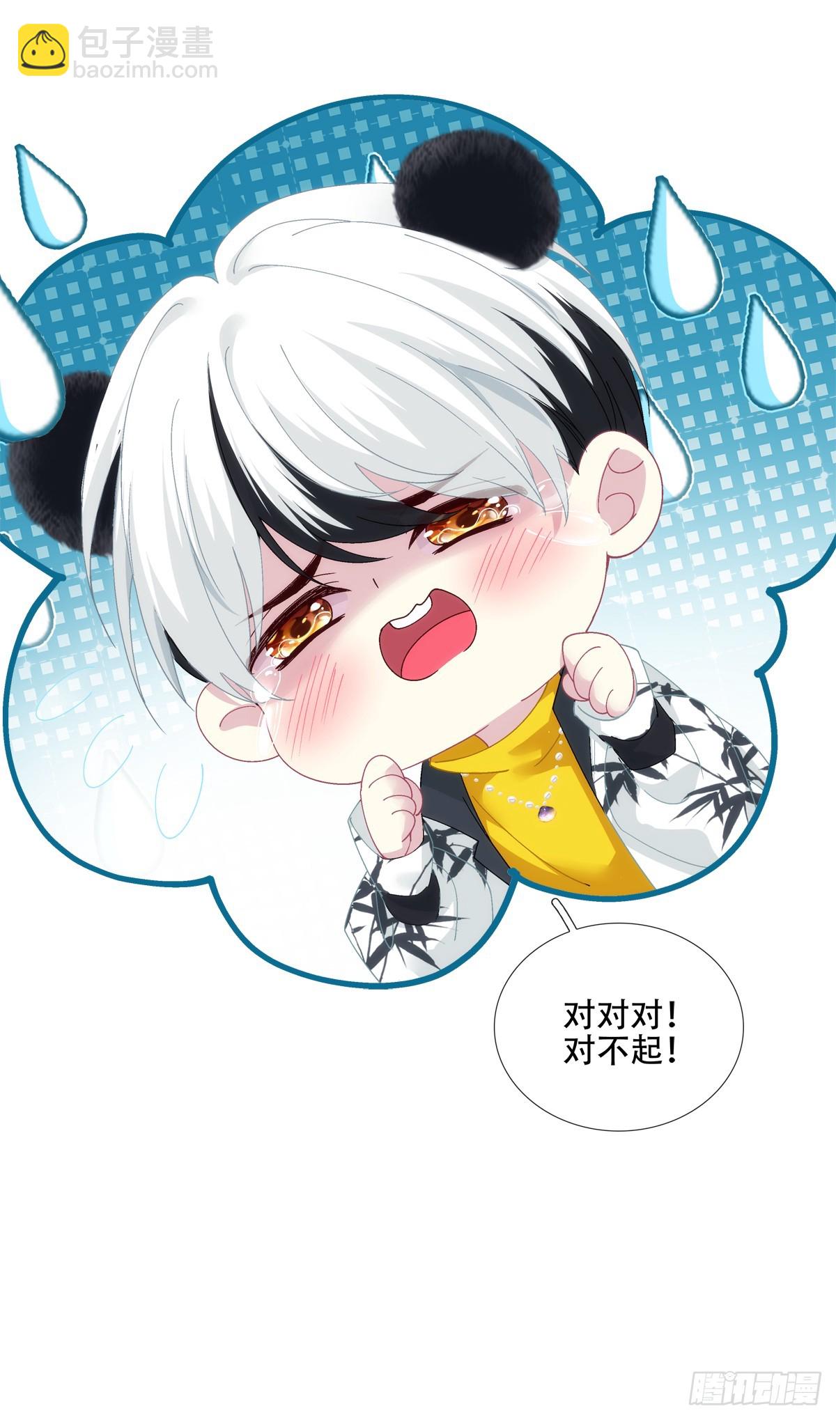 小熊猫寻夫！-第27话