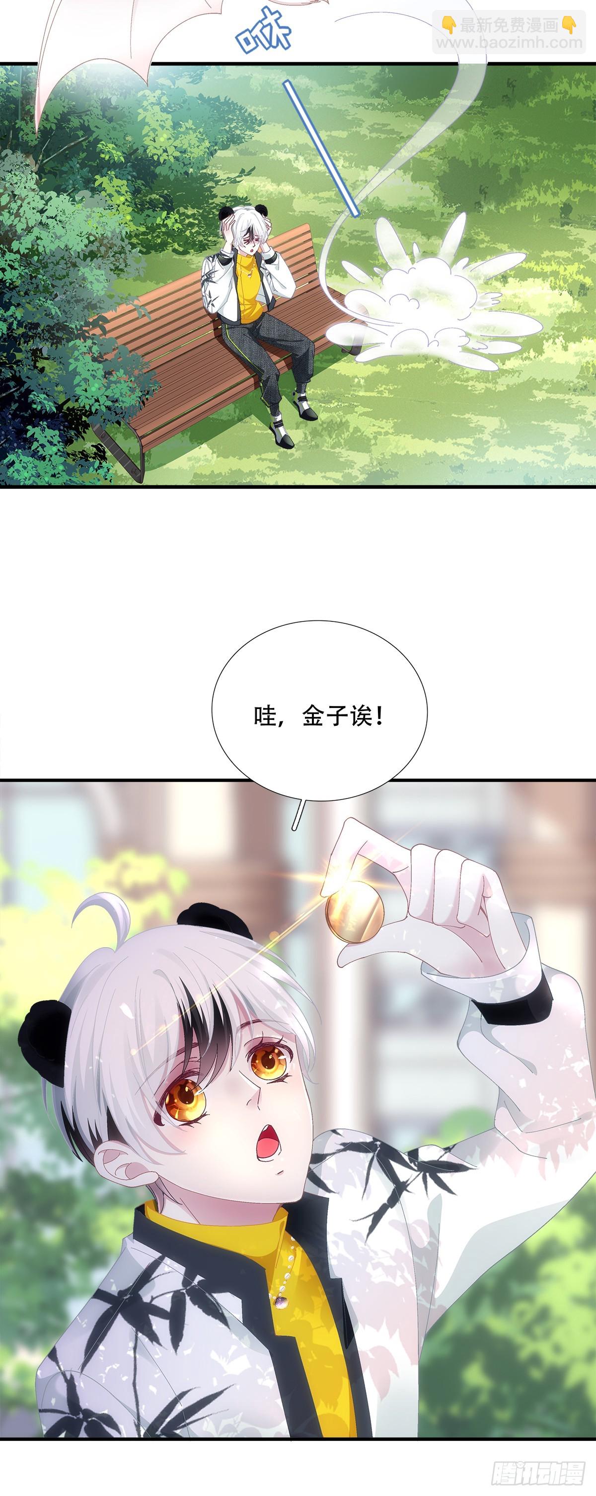 小熊猫寻夫！-第27话