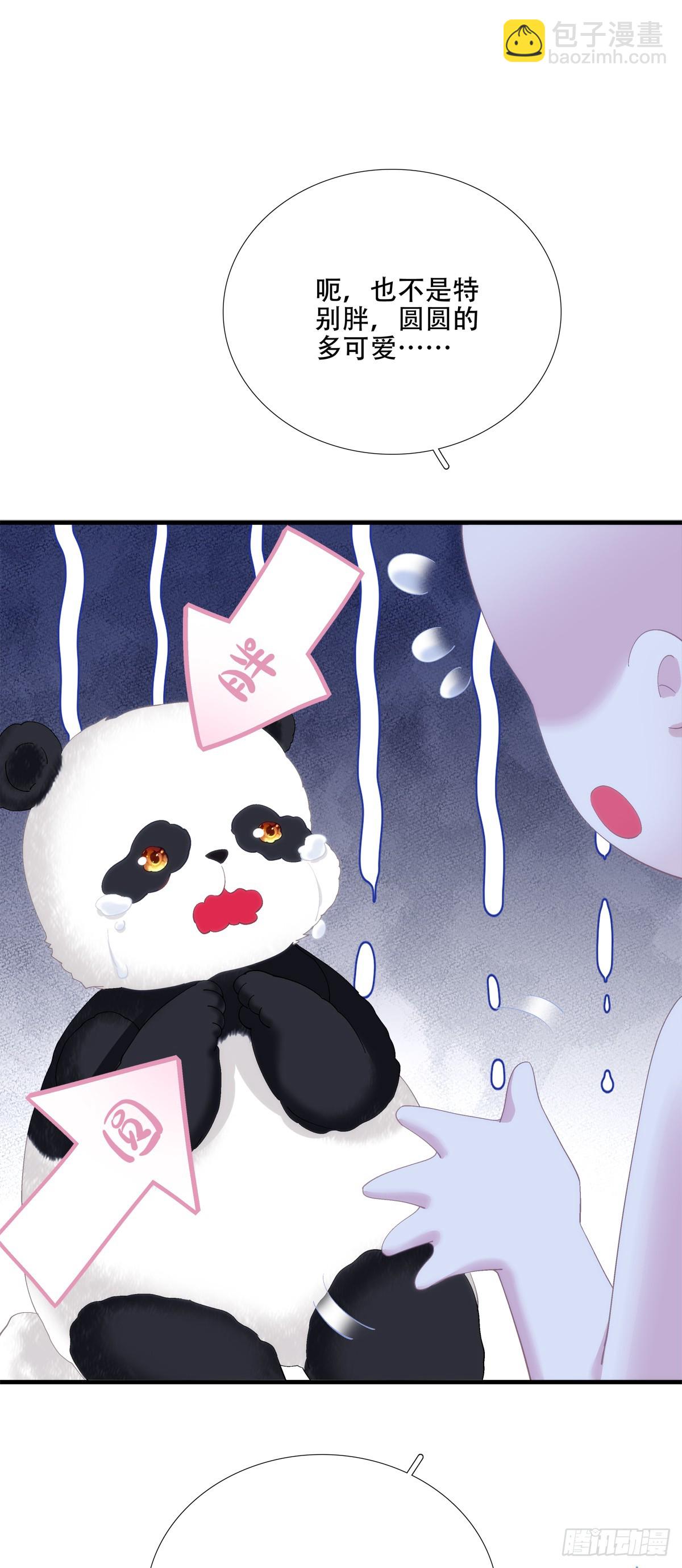 什么时候放我走？！-第65话