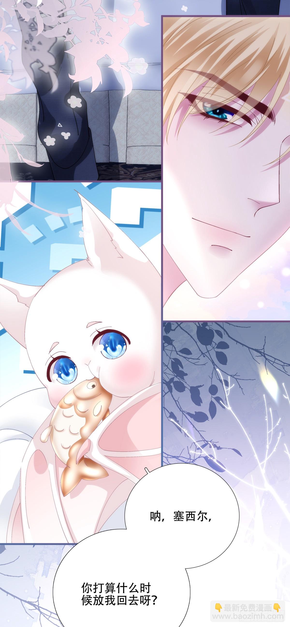 什么时候放我走？！-第65话