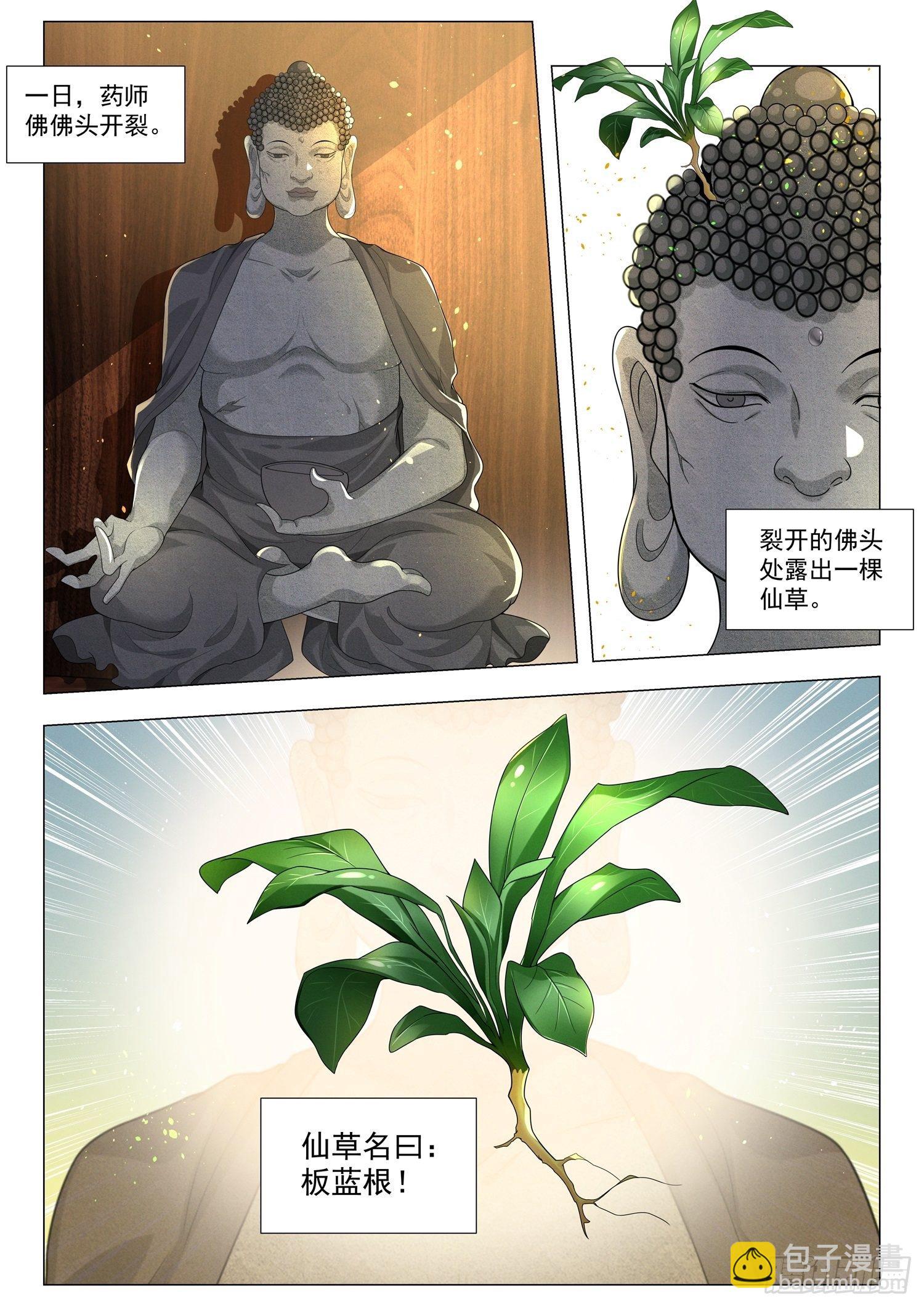 🍱神豪之天降系统 第157话 药师玉佛头 第11页