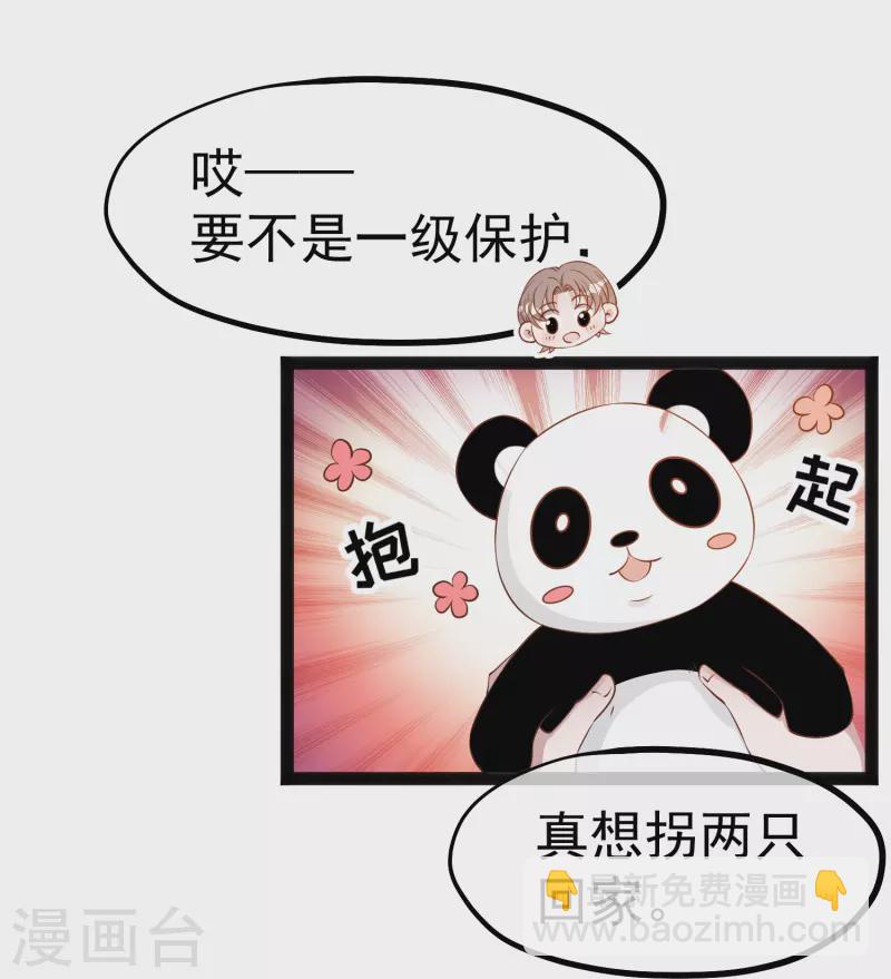 第289话 免费熊猫抱不得！-第297话