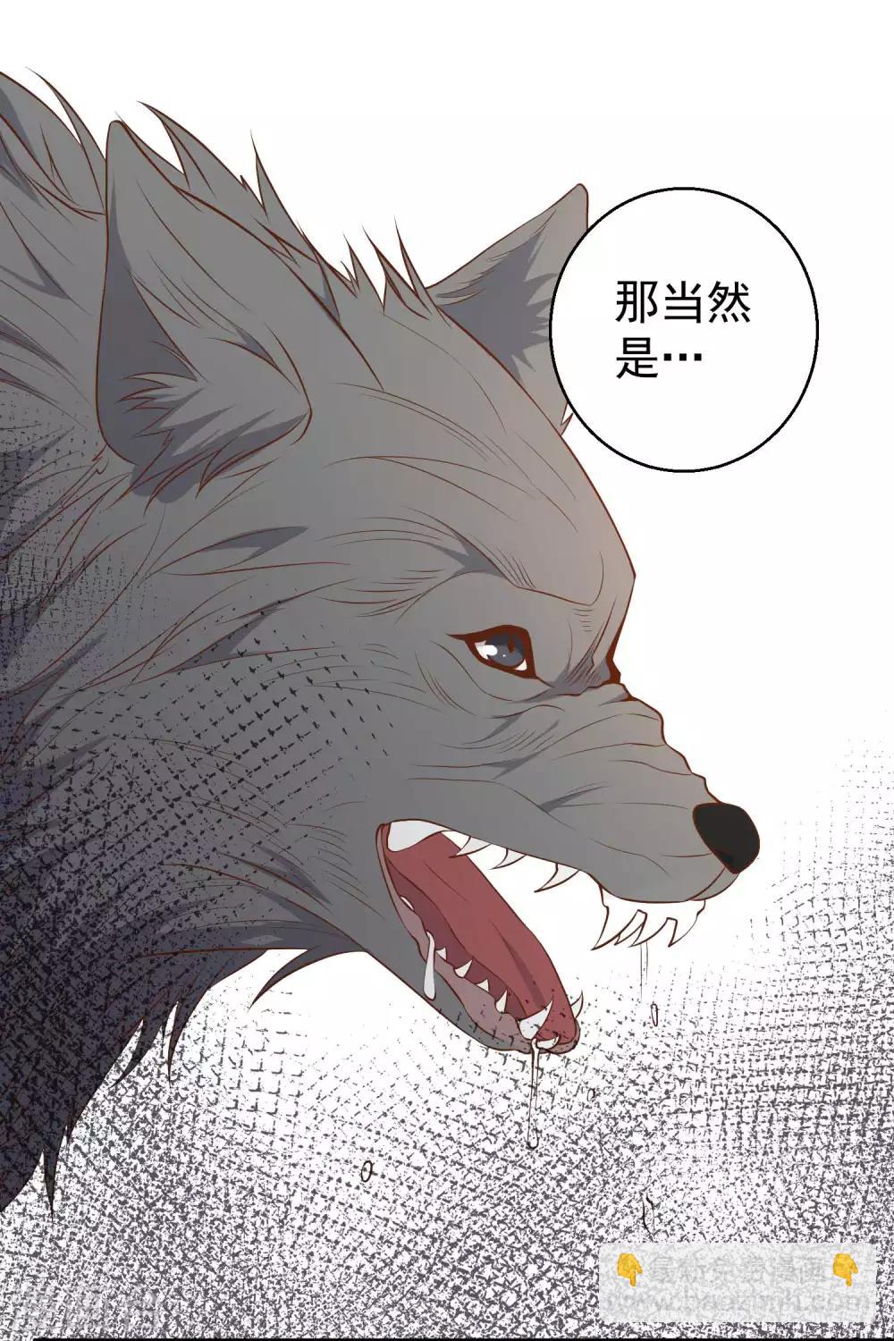 第46话 渔夫套路深-第51话