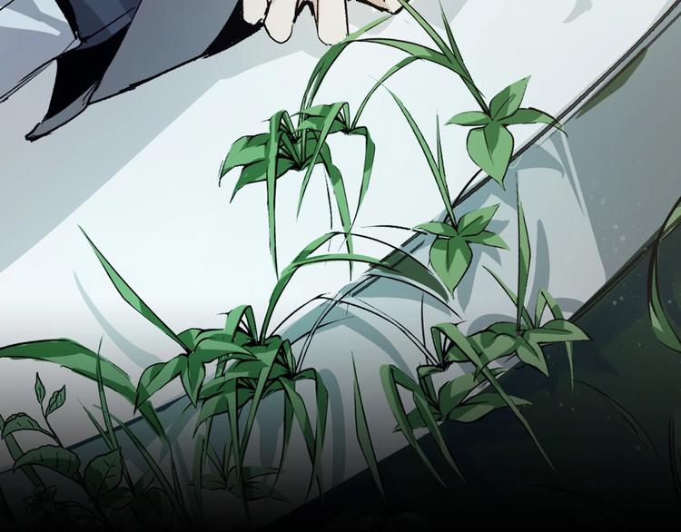序章 弱肉强食 胜者为王！(1/2)-第1话