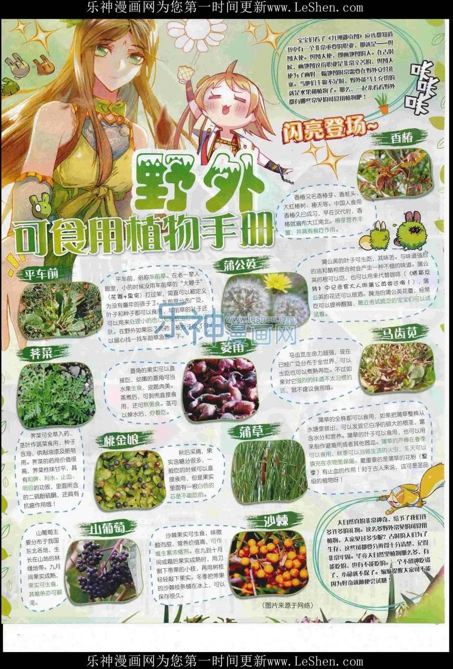🍱神漫 第84期 全本 第4页