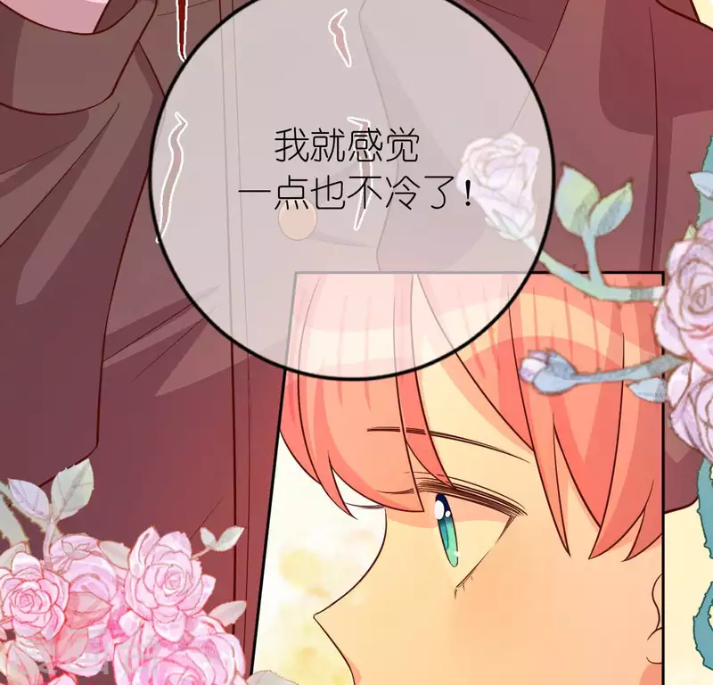 第119话 一起看日出(1/2)-第119话