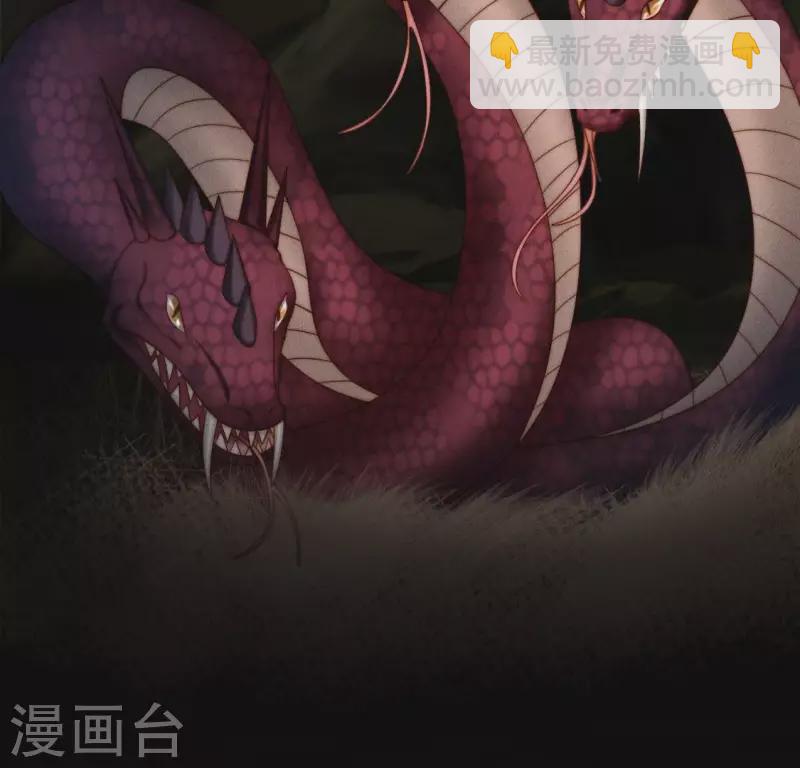 第33话 卖萌的红斑蟒-第35话