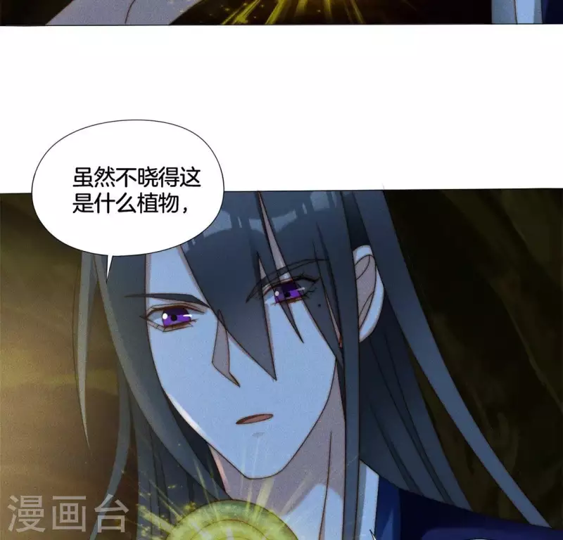 第33话 卖萌的红斑蟒-第35话