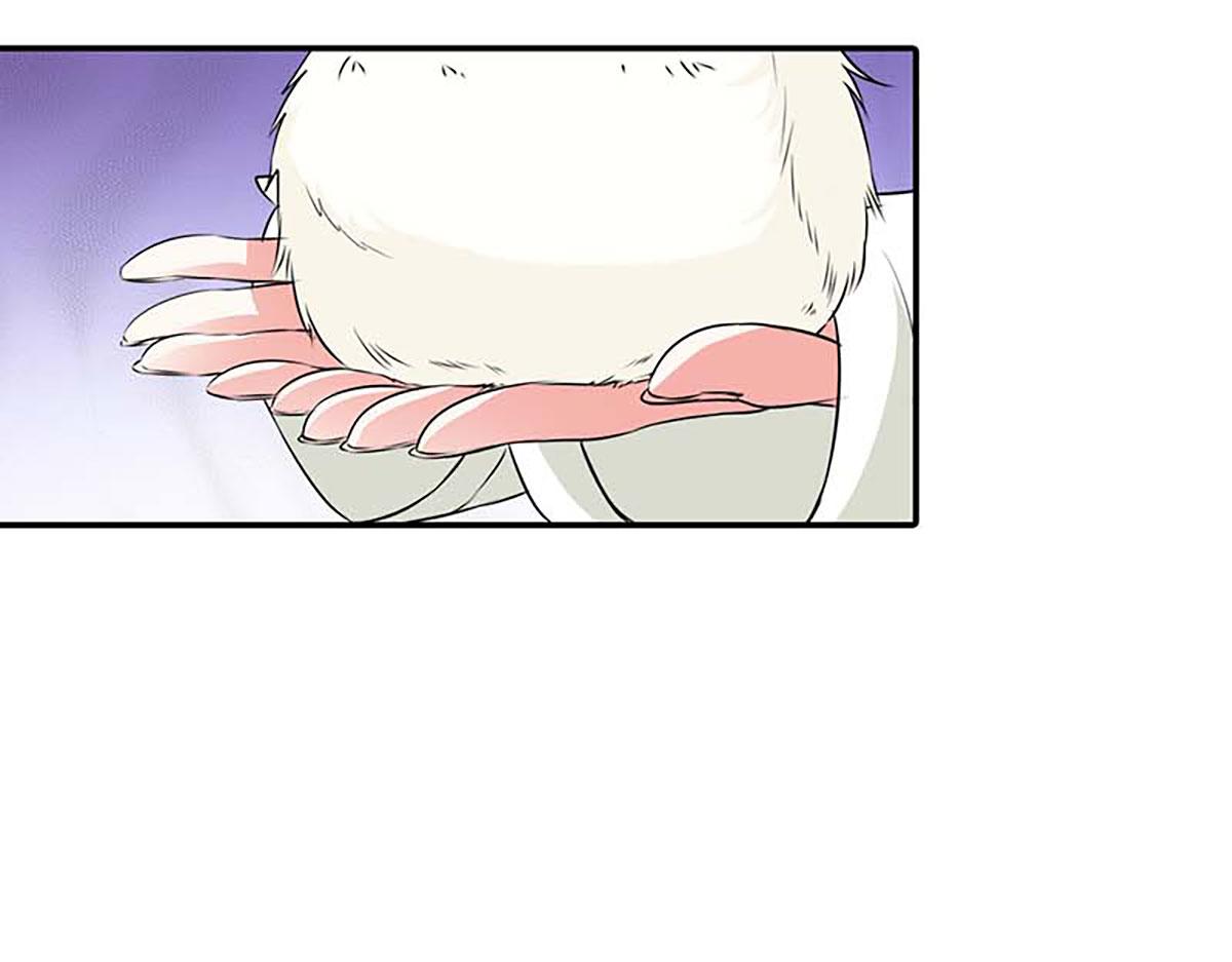 第117话(1/2)-第117话