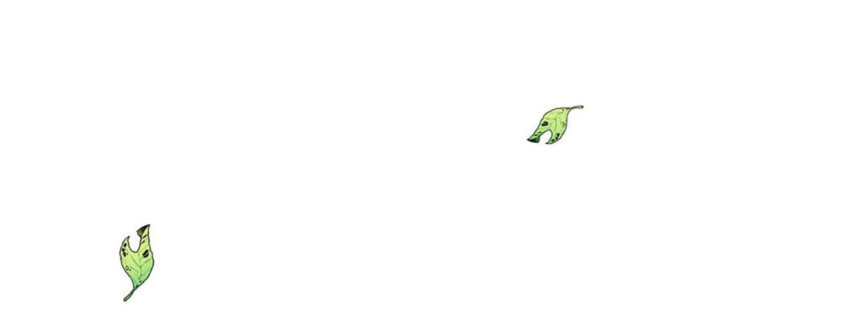第83话(1/2)-第83话