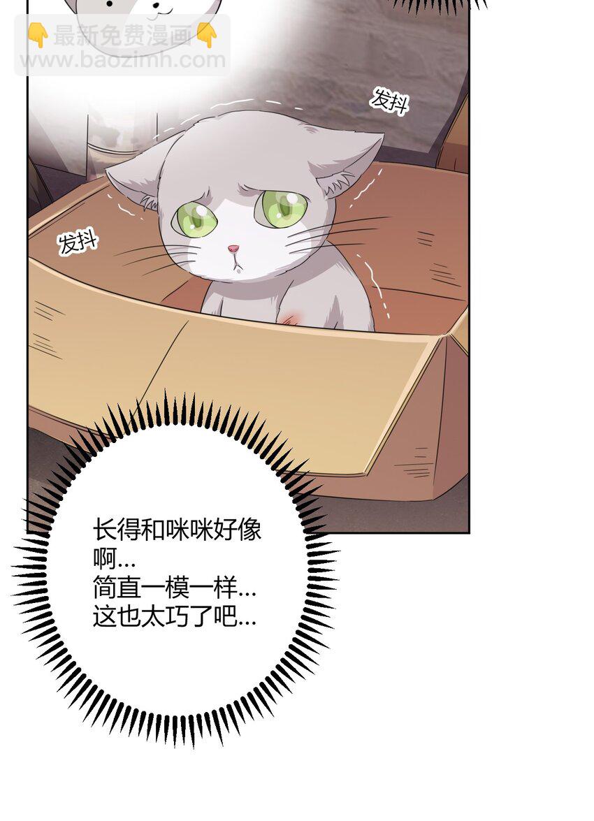 024 咪咪回来啦！-第25话