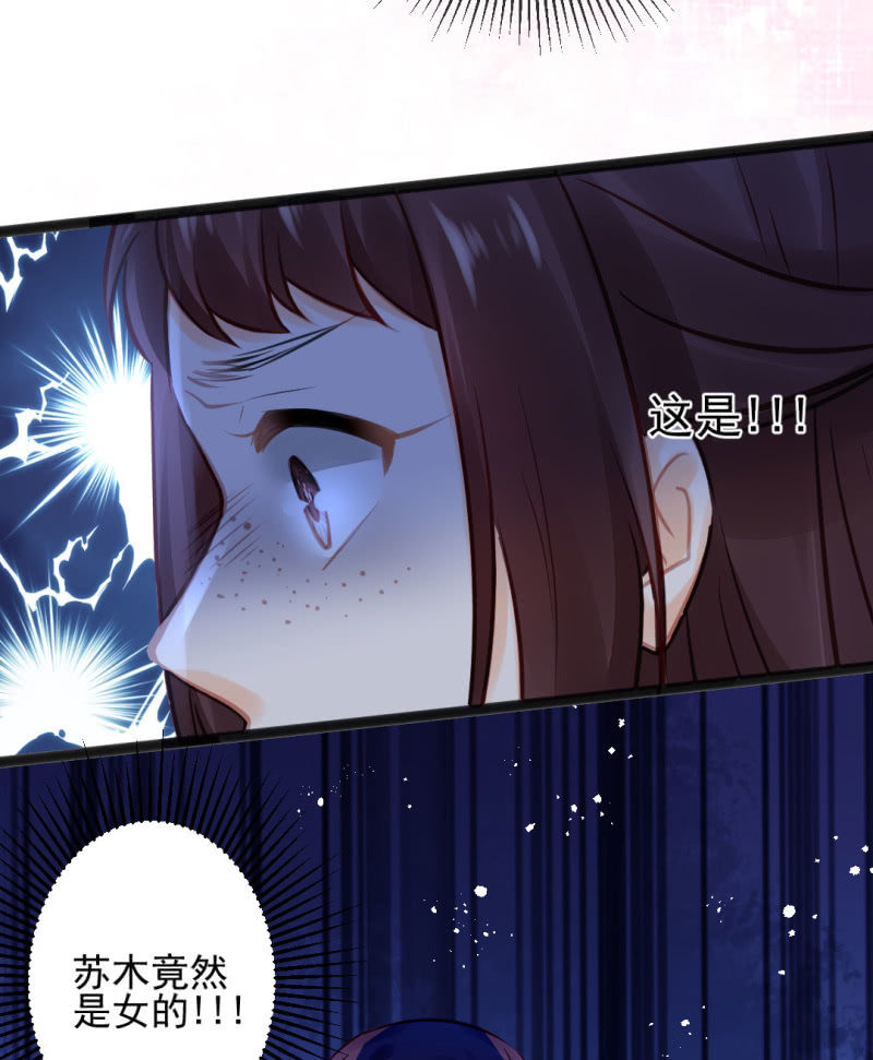 苏木竟然是女子？！(1/2)-第101话
