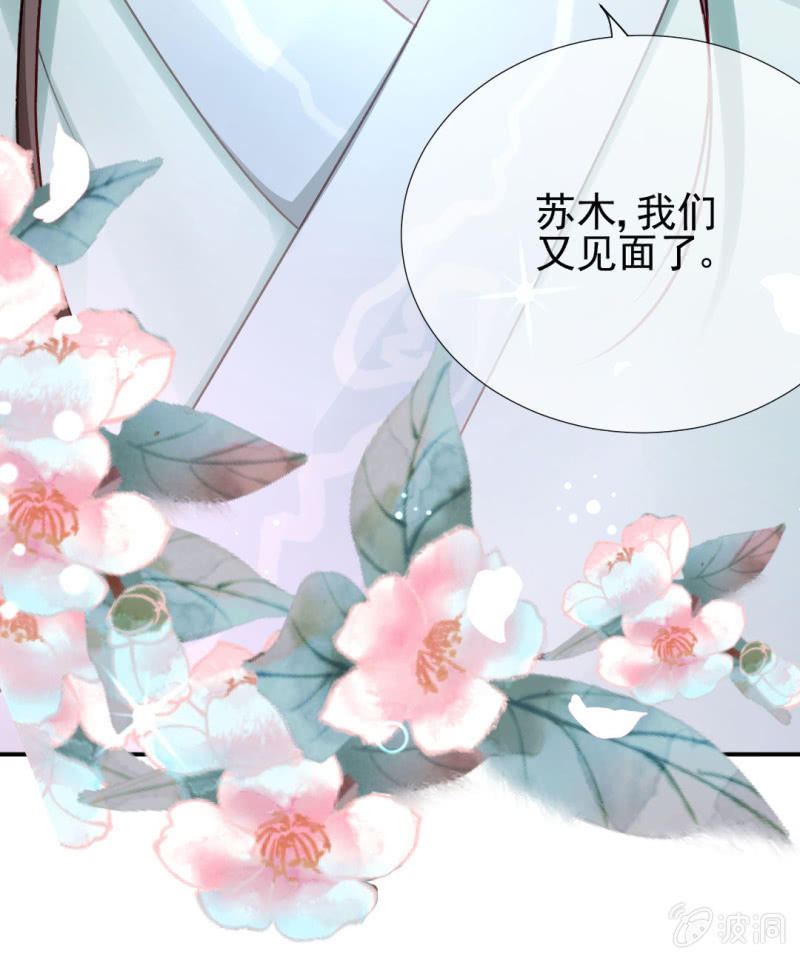糟了！苏木偷溜了！(1/2)-第135话