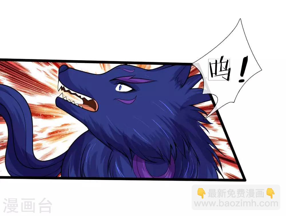 🍱神武天尊 第133话 出手偷袭，小狼护主 第13页