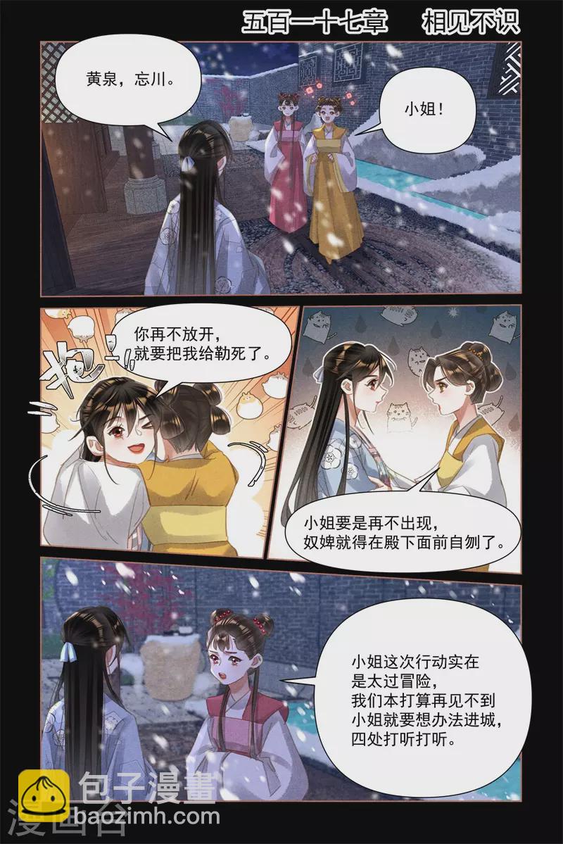 🍱神医嫡女 第517话 相见不识 第2页
