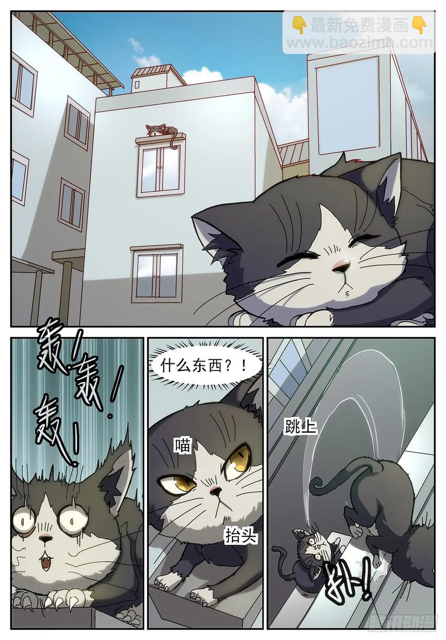 🍱神俑降临 375 谁在高空坠物？！ 第6页
